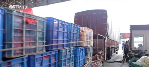 一季度农业农村经济开局良好，初级农产品供给稳中有进