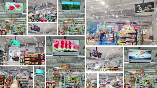 鲤想记丨山东品牌农产品频道十一 持续发力，构建初级农产品品质长城