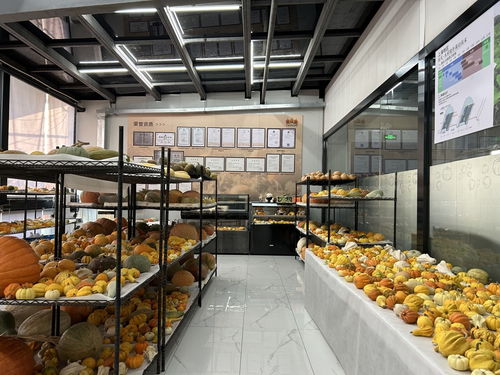 巨型南瓜、爱马仕葡萄……这些“弹眼落睛”的上海农产品，究竟是谁在种？