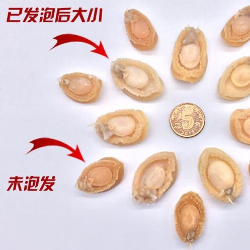 湛江小干鲍 天然海味，佛跳墙的点睛之笔