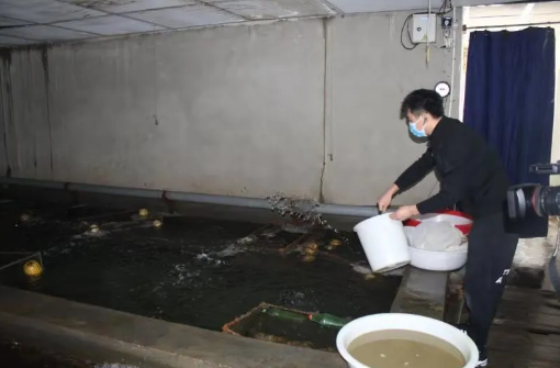 水产品的营养价值与健康生活
